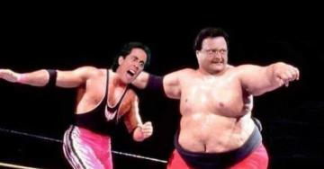 Seinfeld vs wrestling is a sponge worthy crossover (35 Photos)