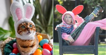 The festive Easter hangover…we do it every year (46 Photos)