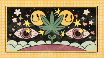 Everything You’ve Ever Wondered About Weed