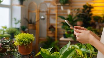 A Beginner's Guide to Using Apps and Gadgets for Growing Healthier Plants
