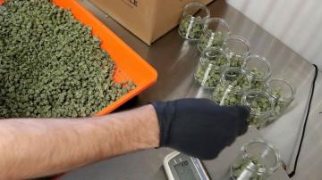 New Jersey's recreational marijuana market open for business