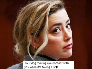 Hearsay! The best Johnny Depp vs. Amber Heard trial memes (30 Photos)