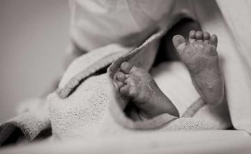 Rats Bite Newborn Baby's Knee, Limbs At Government Hospital In Jharkhand