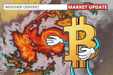 Bitcoin price sees 'hell of a reversal candle' as 168,000 BTC leaves exchanges