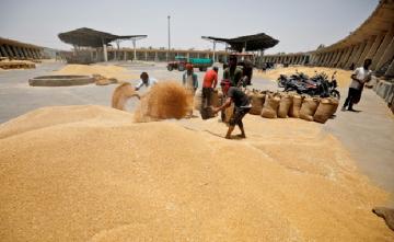 5,000 Wheat-Laden Trucks Stuck Due To Export Ban: Madhya Pradesh Traders