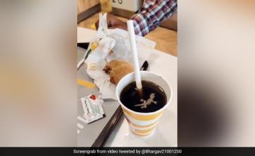 Viral Video Shows Dead Lizard In McDonald's Soft Drink, Outlet Sealed