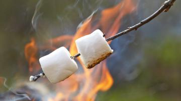 Stuff Marshmallows With Chocolate Chips for Easier S'mores