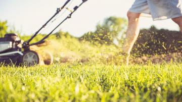 How Often You Should Mow Your Lawn, Based on the Type of Grass You Have