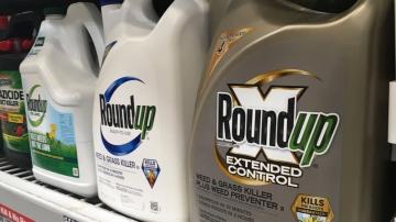 Court rejects Trump-era EPA finding that weed killer safe