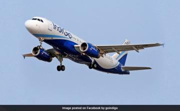 IndiGo Flight To Delhi Suffers Bird Hit After Takeoff, Returns To Guwahati