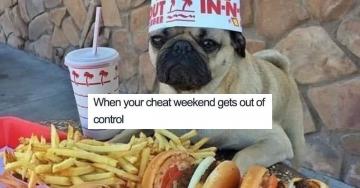 No one’s ever complained about dog memes first thing in the morning (30 Photos)