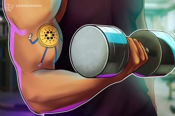 Cardano 'sharks' scoop up 79.1 million ADA ahead of Vasil hard fork