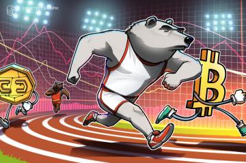 The best bear market plan? 'Relentless optimism for the future,' says fintech CEO