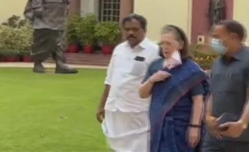 "What's My Fault?" Sonia Gandhi Asked BJP MP Before Smriti Irani Cut In