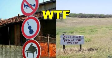 Signs that exist for reasons beyond comprehension (35 Photos)