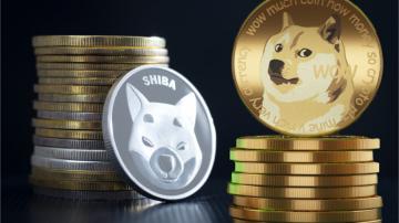 TA- Shiba Inu Price Struggles, But Could Be Set For A Major Run