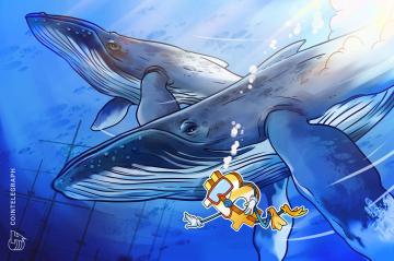 Bitcoin whales attack sellers at $22.3K as euro drops below USD parity
