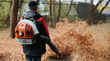 Four Alternatives to Gas-Powered Leaf Blowers (That Aren't a Rake)