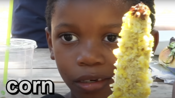 The Out-of-Touch Adults' Guide to Kid Culture: Who Is Corn Kid?