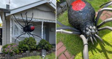 This TikToker's Giant DIY Black Widow Is Giving Us the Creepy Crawlies