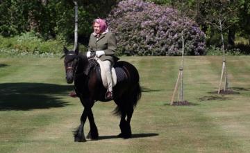 Queen Elizabeth II's Abiding Sporting Passion: Horse Racing