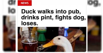 Hilarious headlines that are too funny to be real (30 Photos)