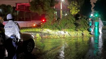 Storm floods parts of Japan, wipes out power, some 60 hurt
