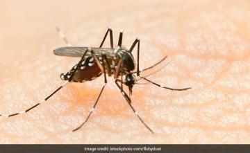 West Bengal Reports 840 New Dengue Cases In A Day