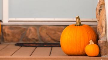 This Is How to Safely Preserve Pumpkins With Bleach