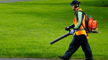 Your City May Have Banned Leaf Blowers