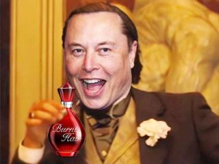 Elon Musk’s “Burnt Hair” fragrance is getting ROASTED (…get it?)
