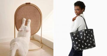 14 Gifts For Those of Us Who Would Rather Stay Home With Our Cats
