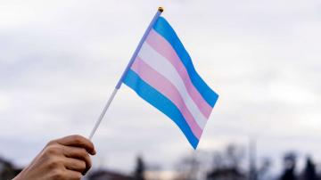 Transgender youth care ban moved forward by Florida medical board committee