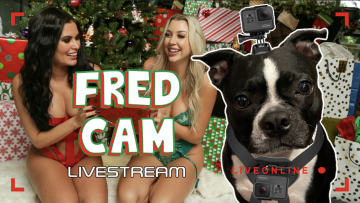 We Put a Camera On a Dog to Go BTS at Our Sexy Christmas Shoot [LIVE]
