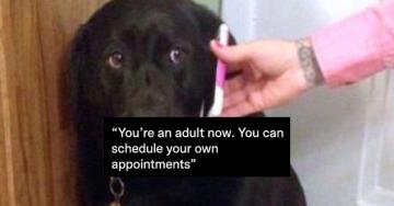Adult struggles us aging folks know all too damn well (30 Photos and GIFs)