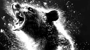 18 Movies to Snort Before 'Cocaine Bear'