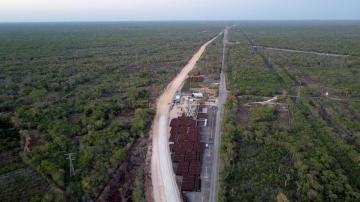 Scientists sound alarm over plan to build railway through pristine jungles