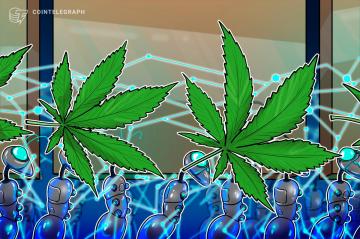California cannabis producer adopts blockchain to track its weed