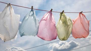 The Right Way to Clean and Reuse 'Single-Use' Plastic Bags