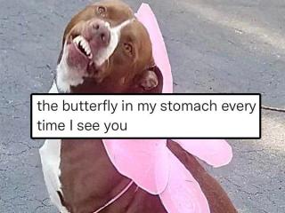 Sext your S.O. with some dirty, flirty relationship memes (35 Photos)