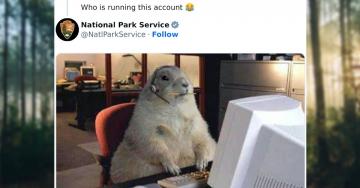 Nat’l Park Service is somehow posting the most FIRE tweets (31 photos)