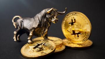 FED To Put Off Interest Rate Hikes, Bitcoin Rallies: Here’s Why