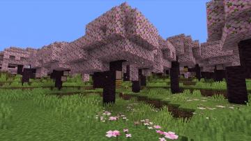 How to Test Minecraft's New Cherry Blossoms Before Everyone Else