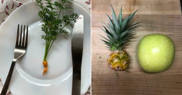 Home-grown food fails you just have to laugh at (30 Photos)