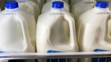 No cow needed: Oat and soy can be called milk, FDA proposes