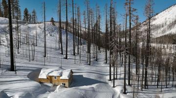 10 million Americans under winter alerts as snow slams West Coast mountains