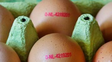 In the EU's inflation crisis, the humble egg takes the cake