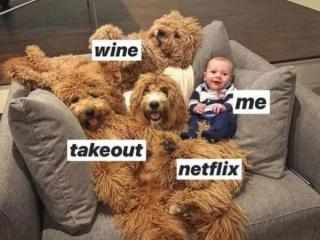 Are You Still Watching These Netflix Memes? (27 Photos)