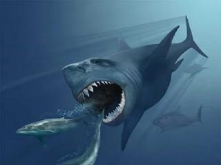 The Megalodon Shark Was F*cking Terrifying