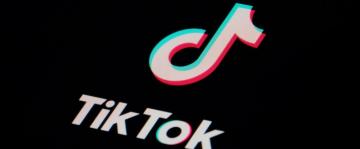 TikTok dismisses calls for Chinese owners to sell stakes